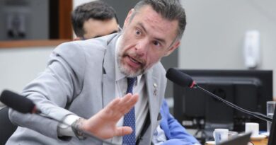 Avança em Brasília PL que permite a participação de ONGs no Plano Nacional de Combate à Violência contra a Mulher