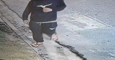 Câmeras do Rio Grande 360° flagram ataque a totem de segurança e suspeito é preso em Rio Grande da Serra