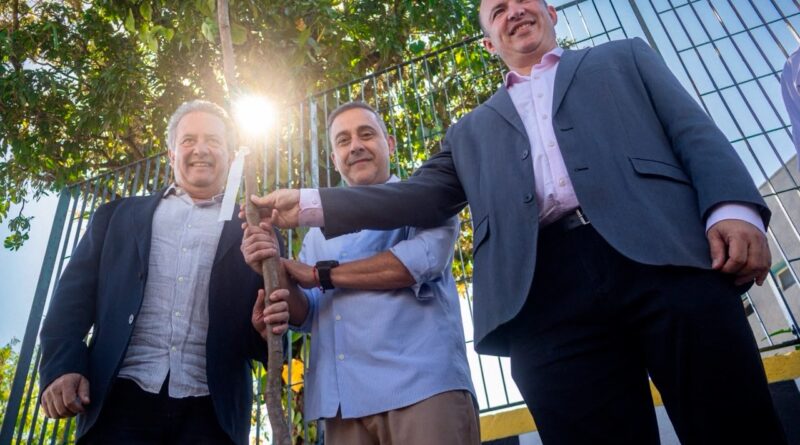 Ribeirão Pires inicia projeto para substituir árvores que oferecem risco à população e à rede elétrica