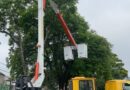 Prefeitura de Mauá intensifica poda preventiva de árvores no Jardim Santa Lídia