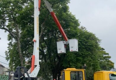 Prefeitura de Mauá intensifica poda preventiva de árvores no Jardim Santa Lídia