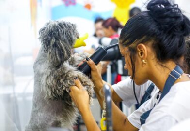 Ribeirão Pires abre inscrições para curso gratuito de Banho e Tosa