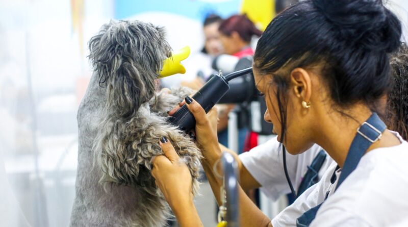 Ribeirão Pires abre inscrições para curso gratuito de Banho e Tosa
